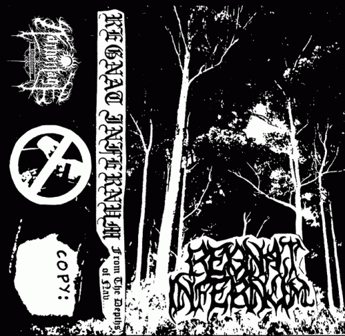 From the Depths of Nav...